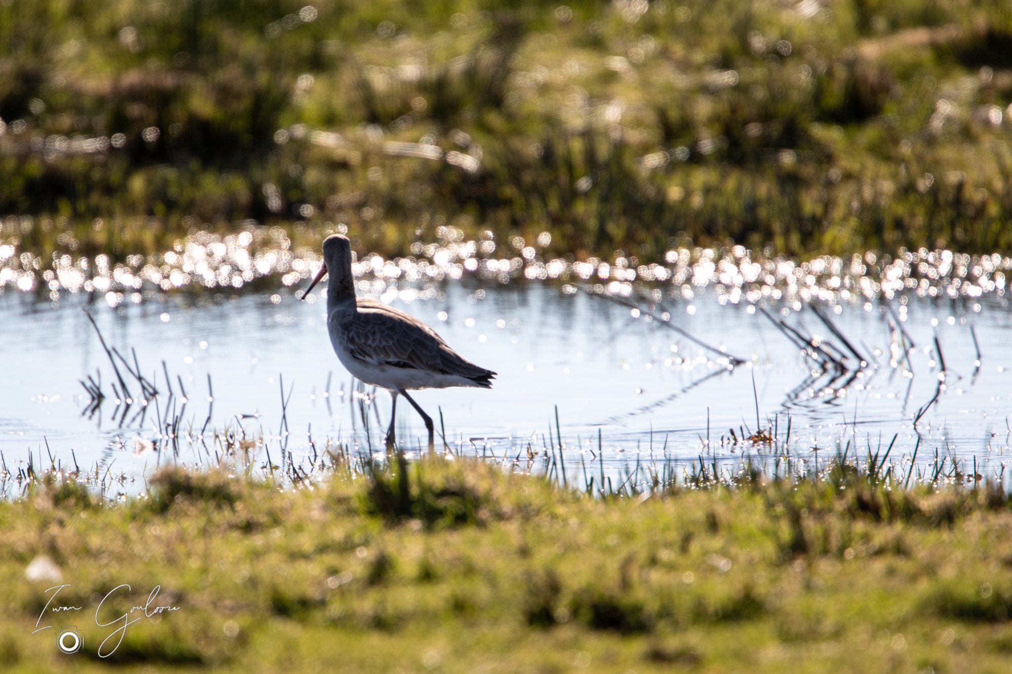 1DX42963 28 februari 2022 1247 27